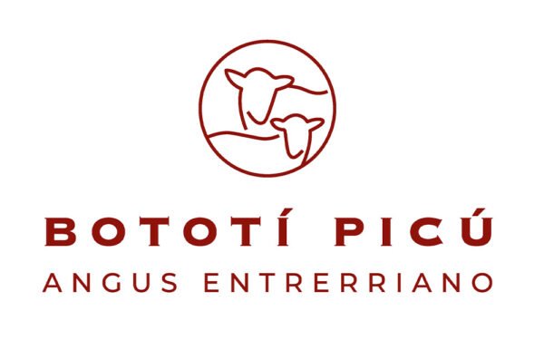PC Bototí Picú - Vaquillonas Preñadas